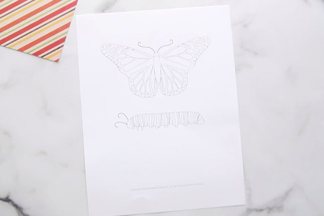 Butterfly Life Cycle Printable