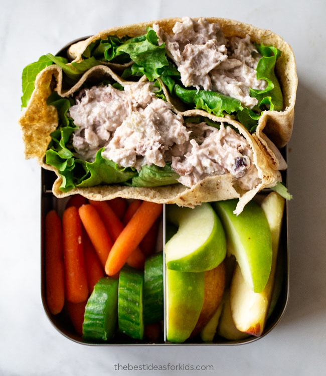 Chicken Salad Pita Lunch Ideas for Kids