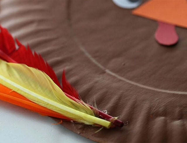 Glue Feathers to Paper Plate