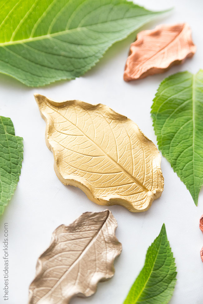 Leaf Clay Ideas for Kids