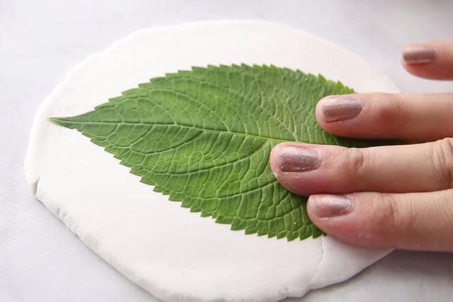 Press Leaf for Clay Dishes