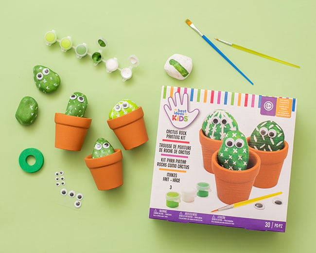 Rock Cactus Craft Kit for Kids